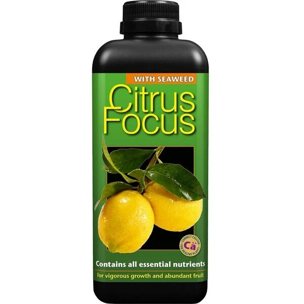 Citrus Focus - 1000 Ml 1 Citrus Focus - 1000 Ml
