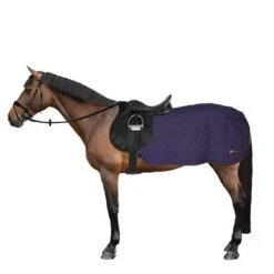 Kentucky Horsewear Kentucky Quarter Rug 160g Navy 15 Kentucky Horsewear Kentucky Quarter Rug 160g Navy -Serax Shop 44669507.54b80c